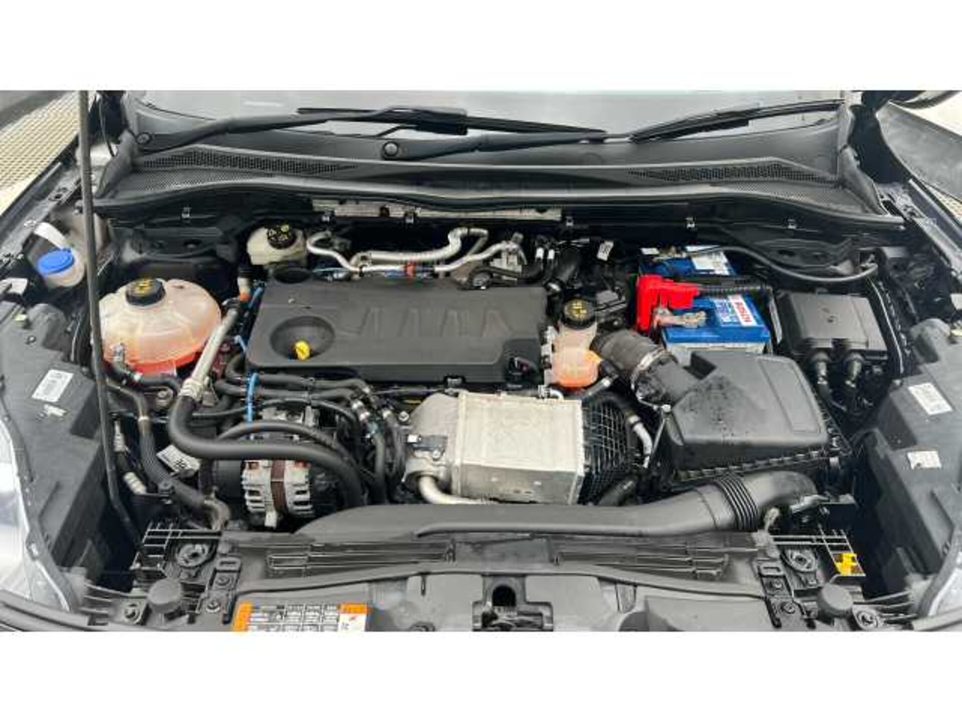 Ford Kuga KUGA 2.0 EcoBlue 190 ST-Line X Edition 5dr Auto AWD 